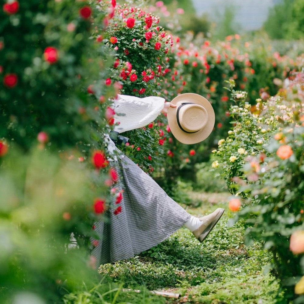 Meet your Posher, Hana